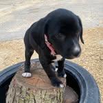 Huntley Vandellen - @huntley.vandellen - Instagram