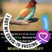 Ellen Hurt - Facebook