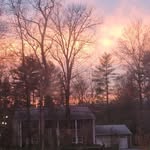Ellen Pine Hurteau - @ellenhurteau - Instagram