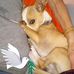 Ellen Hutson - Facebook