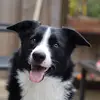 EllenIsabella - @leisabellauijttew - TikTok