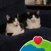 Ellen Jaeger - Facebook
