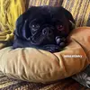 Sweden - @ellena.jameson - TikTok