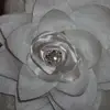 Kischa Johnson - @janelleellenaj1975 - TikTok