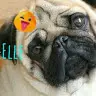 Elle Jang - @ellejang - TikTok