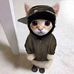 Alan Janik - Facebook