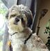 Eileen Janick - Facebook