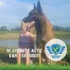 Ellen Jansen - @ellenjansen1980 - TikTok