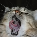 ellen jarvis - @jarvisellen1345 - Instagram