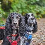 Ellen Jarvis - @ellenjarvis76 - Instagram