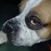 Sue Ellen Jarvis - @sue.ellen.jarvis1 - TikTok