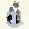Luna & Jasper - @ellenjay_ - TikTok