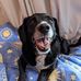 Maryellen Jaynes - Facebook