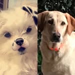S.T.Slimes - @ellen.jetta.slimes - Instagram