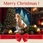 Ellen Johnson - @ellen.johnson.7 - Instagram