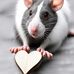 Kay-ellen Johnson - Facebook