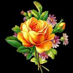 Ellen Joyner - @joyner5522 - Instagram