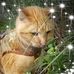 Ellen Kahn - Facebook