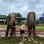 Ellen Keating - @ellen_keating - Instagram