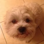 Ellen Forgeron Keefe - @forgeronkeefe - Instagram