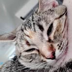 Ellen Kelso - Facebook