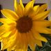Ellen Kerr - Facebook