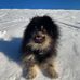 Ellen Kircher - Facebook