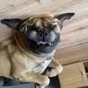 😶‍🌫️😶‍🌫️😶‍🌫️ - @ellen.knapper_ - TikTok