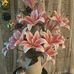 Ellen Knapp - Facebook