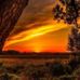 Ellen Knapp - Facebook