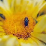 Ellen Knott - @throughtheeyesofellie - Instagram
