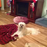 Ellen Koenig - @ellenpkoenig - Instagram