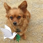 Ellen Koenig - @koenig.ellen - Instagram