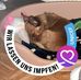 Ellen Koenig - Facebook