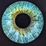 Ellen König - @ellen.koenig78 - Instagram