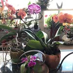 Susan Koenig-Ellenburg - @koenigellenburg - Instagram