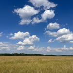 Ellen Kohl - @ellen.kohl.3 - Instagram