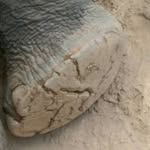 Ellen Köhler - @ellenkohler - Instagram