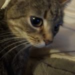 Ellen Kolb - @ellen.kolb.520 - Instagram