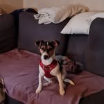 Ellen Kronser - @ellenkronser - Instagram