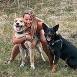 Ellen Kruse - @krusellen - Instagram