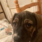 Ellen Lacey - Facebook