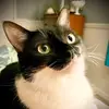 Lacey - @lacey.ellen.s - TikTok
