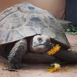 Ellen Lang - @ellenlang4711 - Instagram