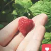 Ellen Lang - @ellen_lang8 - TikTok