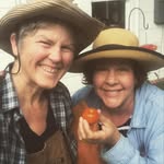 Ellen Langford - @ellenlangfordpaints - Instagram