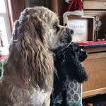 Sue-Ellen Heighton Langille - @heightonlangillesueellen - Instagram