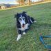 Ellen Langston - Facebook
