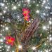 Ellen Langston - Facebook