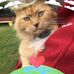 Ellen Langston - Facebook